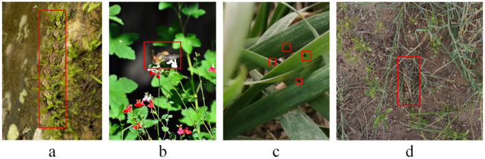Figure 2