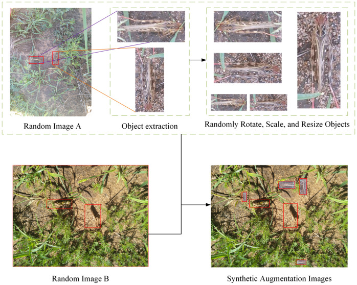 Figure 3