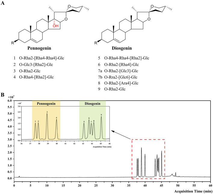 FIGURE 1