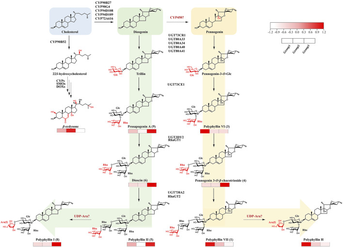 FIGURE 6