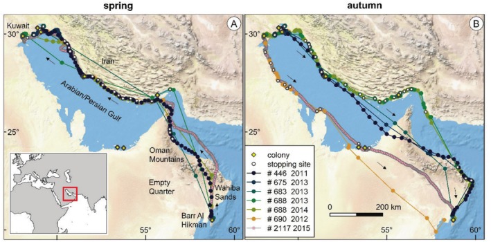 FIGURE 2