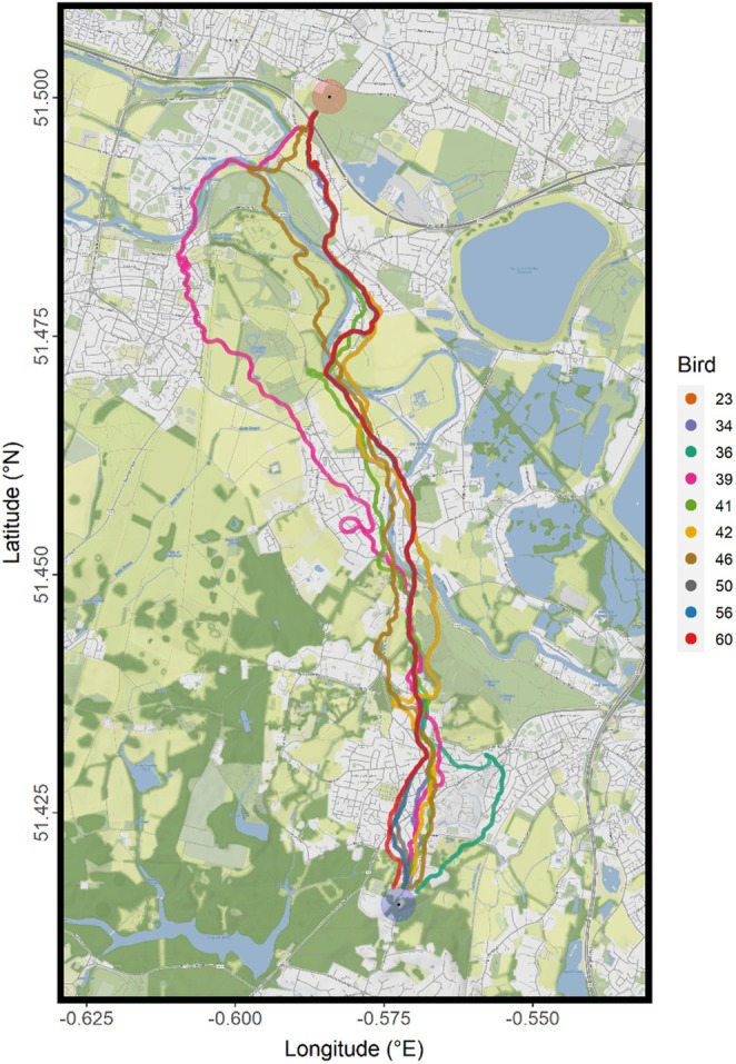 FIGURE 2