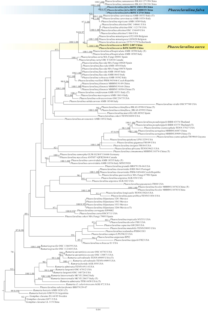 Figure 1