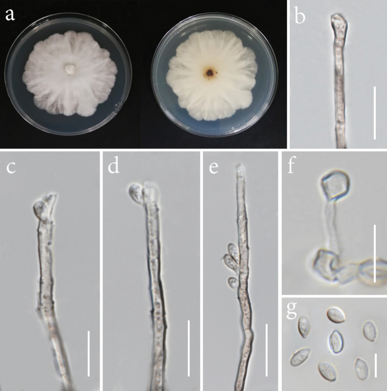 Figure 10