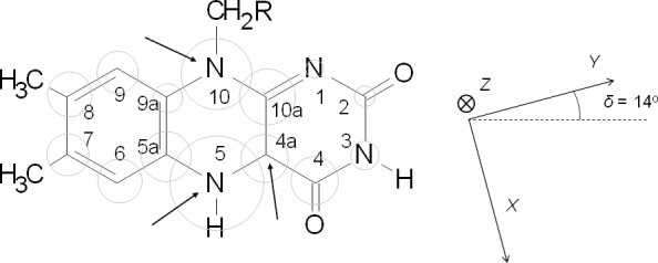 Figure 1