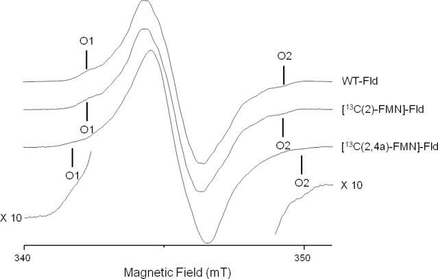 Figure 2