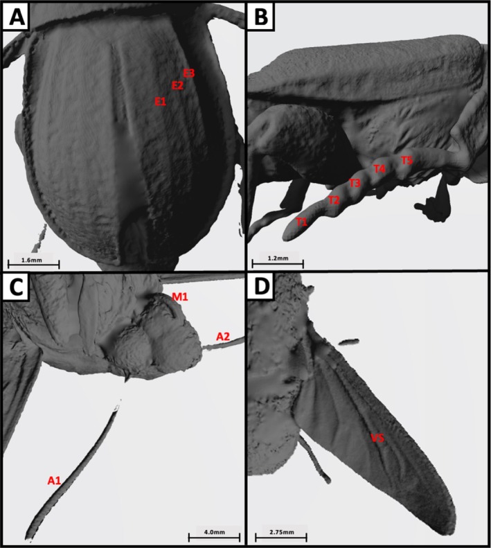 FIGURE 2