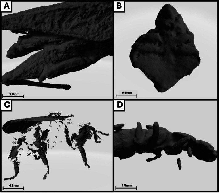FIGURE 3