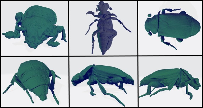 FIGURE 4