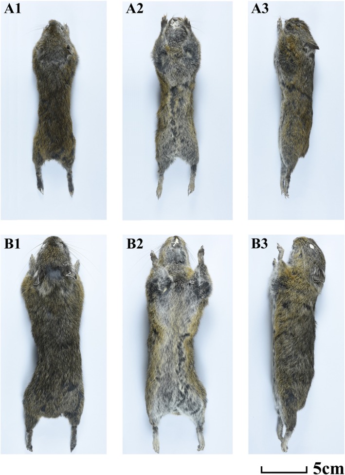 FIGURE 4