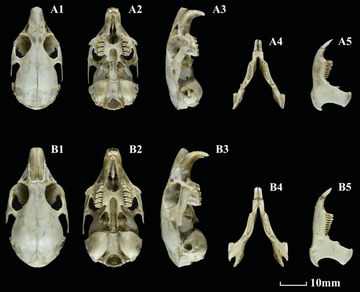 FIGURE 5