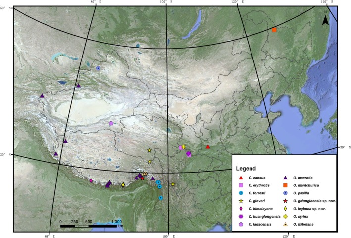 FIGURE 1