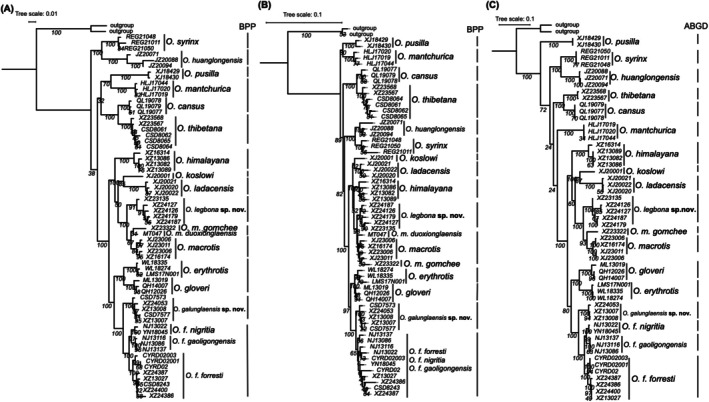 FIGURE 2