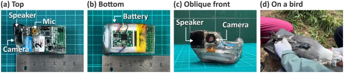 FIGURE 2