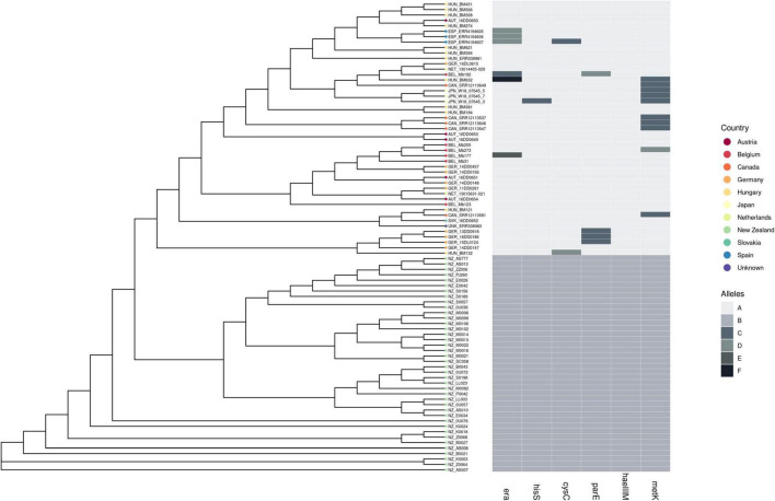 FIGURE 4