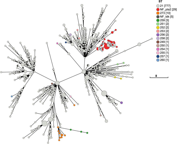 FIGURE 7