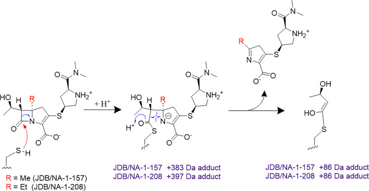 Fig 7