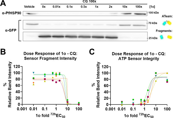 Fig 6