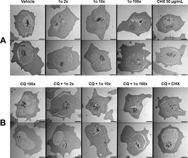 Fig 8