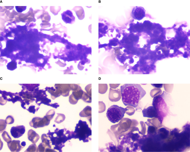 Figure 1