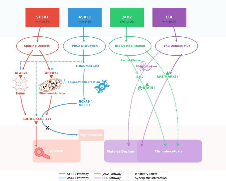 Figure 4
