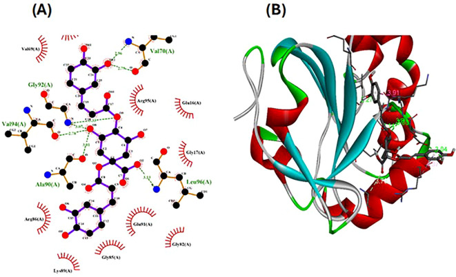 Figure 5