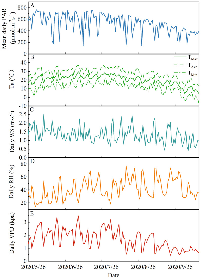 Figure 2