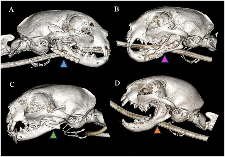 Figure 6