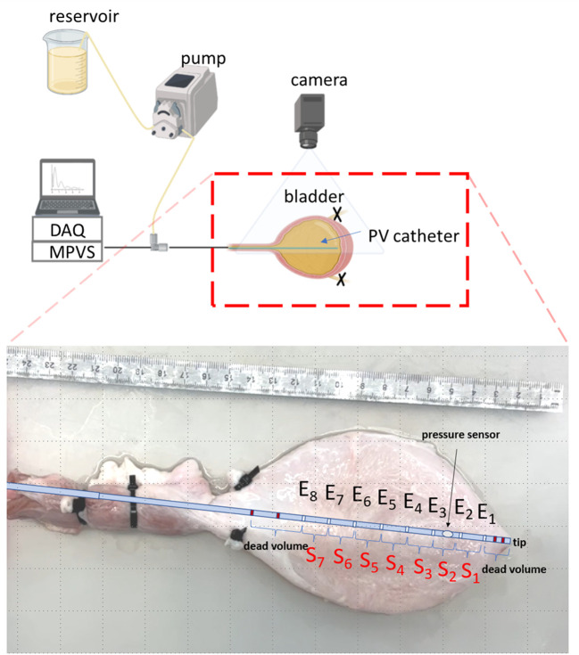 Figure 1