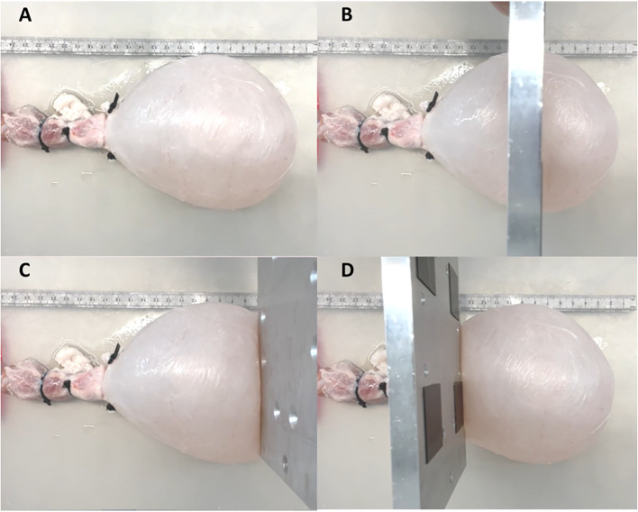 Figure 3