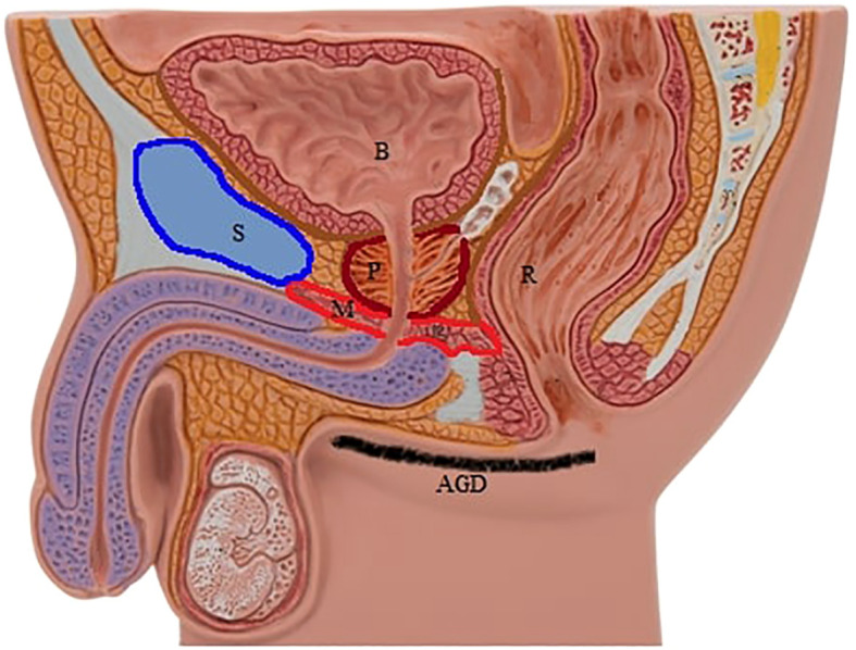 Figure 1