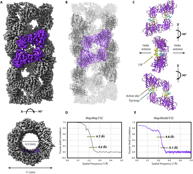 Fig. 4