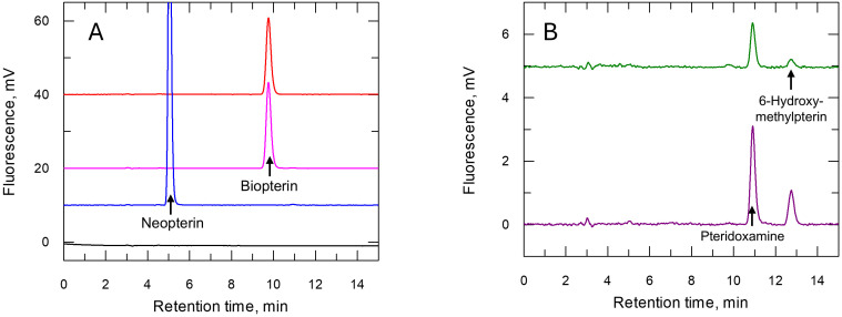 Fig 6