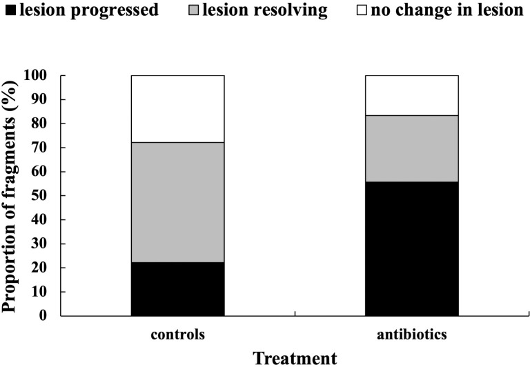 Fig 10