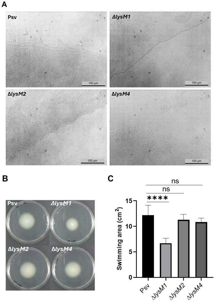 Fig 4