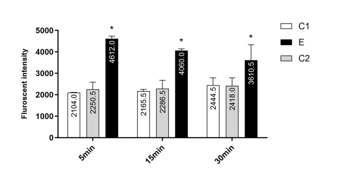 Figure-1