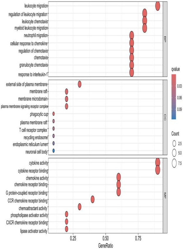 FIGURE 11
