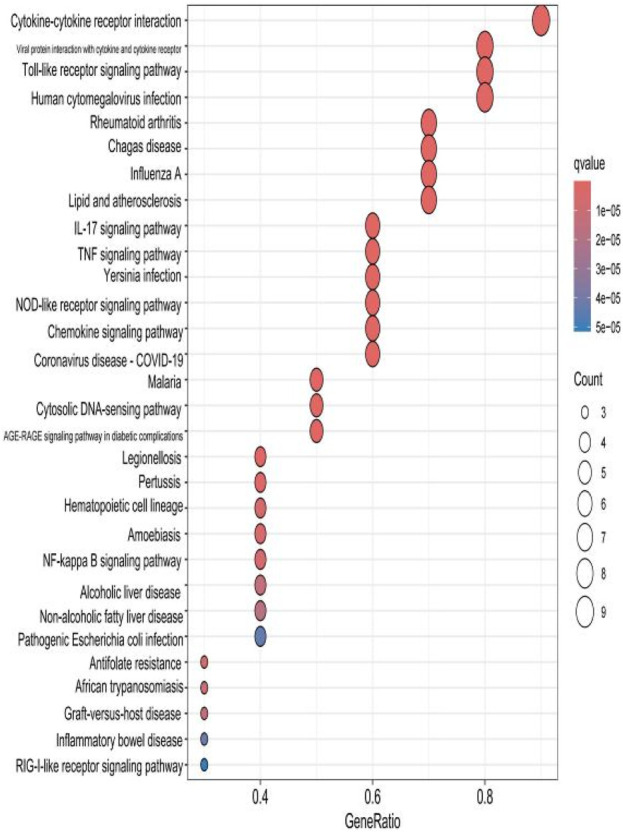 FIGURE 13