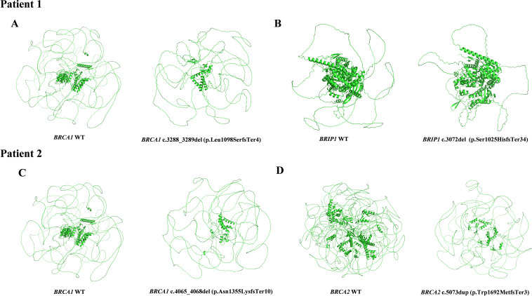 Figure 2