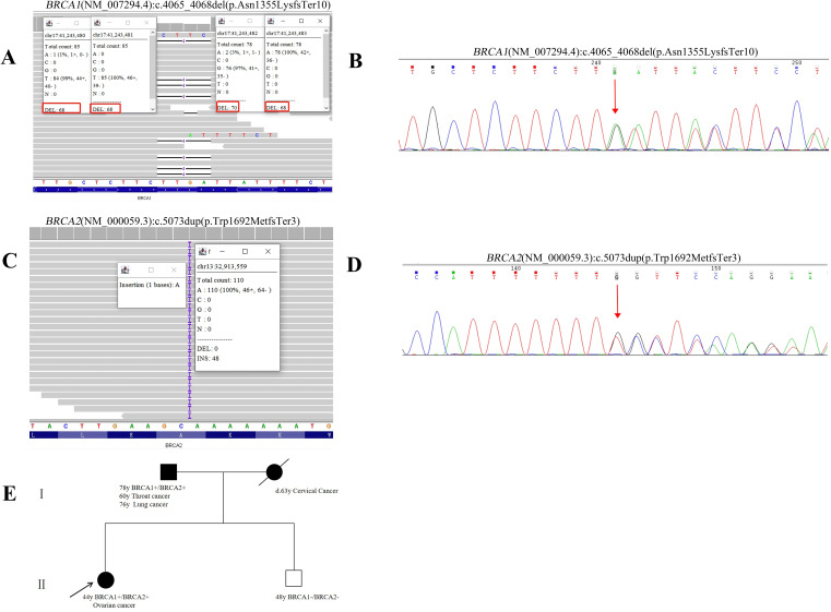 Figure 3