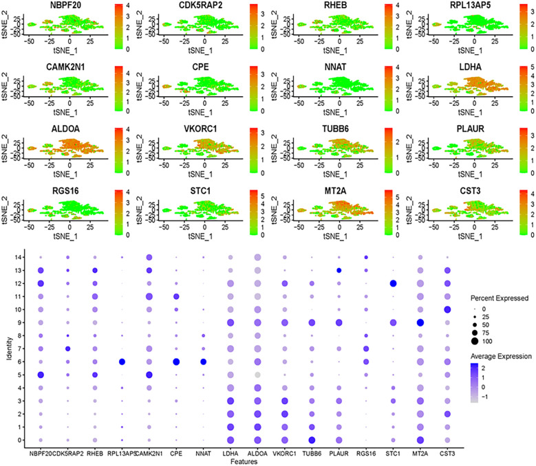 Figure 6