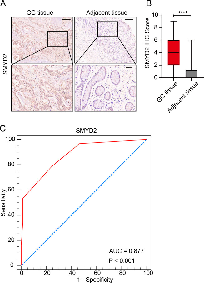 Figure 6