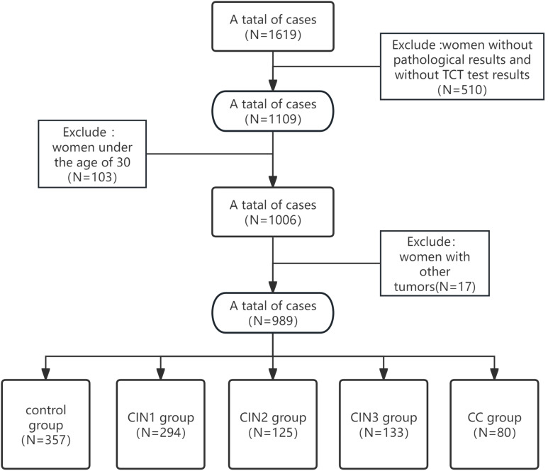 Figure 1