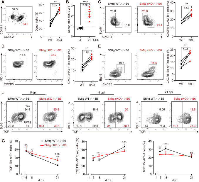 Figure 6