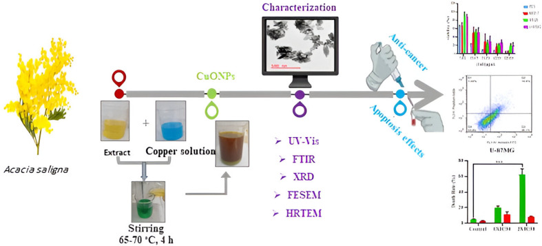 Figure 13
