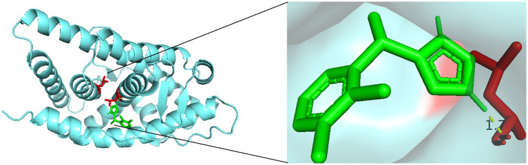 Figure 6