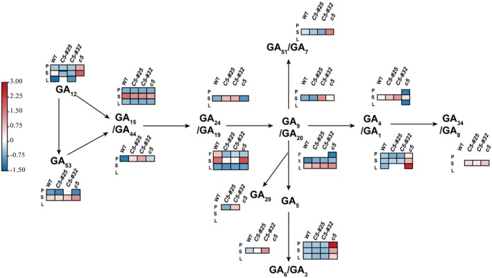 Figure 5