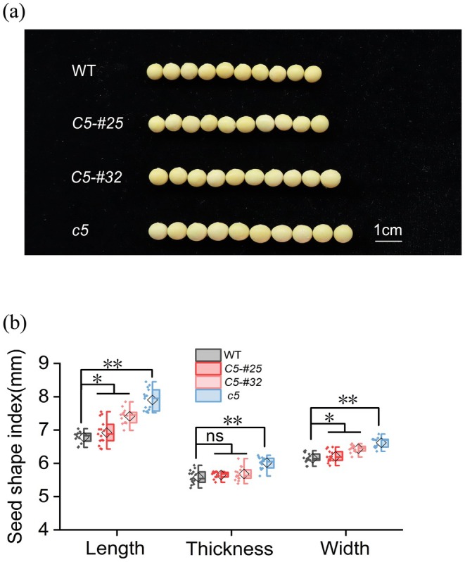 Figure 9