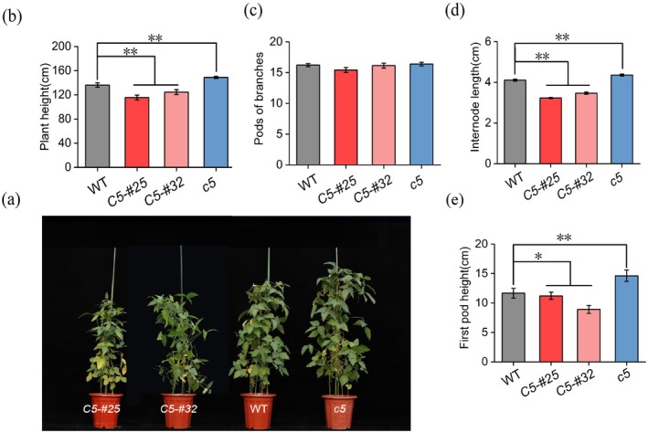 Figure 10