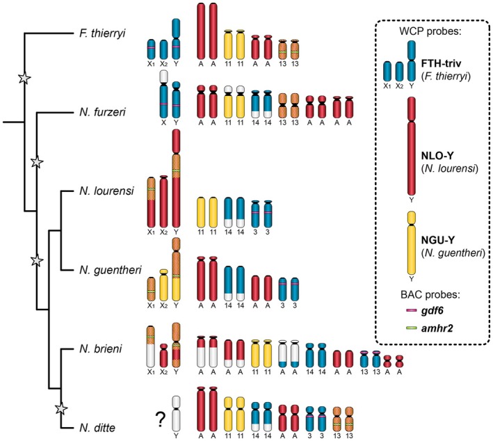 Figure 2